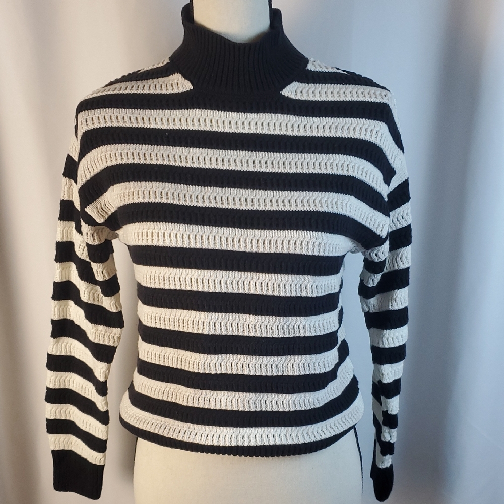 Time and Tru Striped Turtleneck Sweater - Black and White